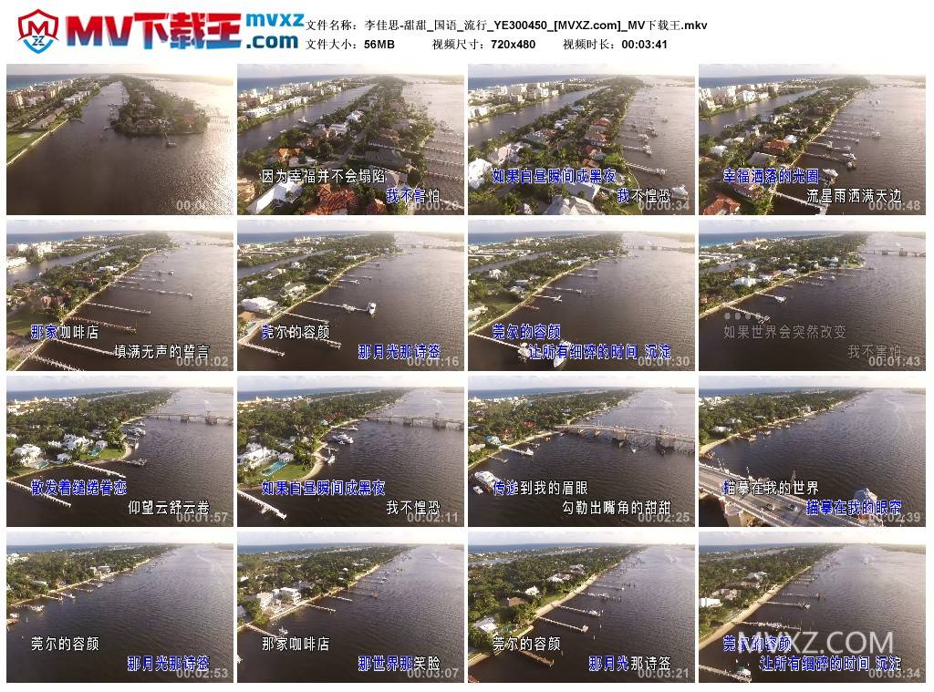 李佳思-甜甜_国语_流行_YE300450